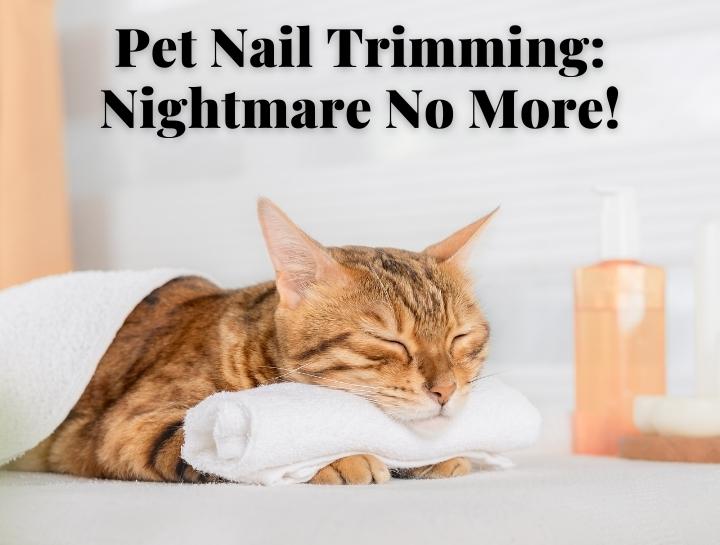Pet Nail-Trimming: Nightmare No More!