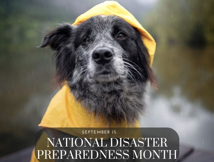 National Disaster Preparedness Month