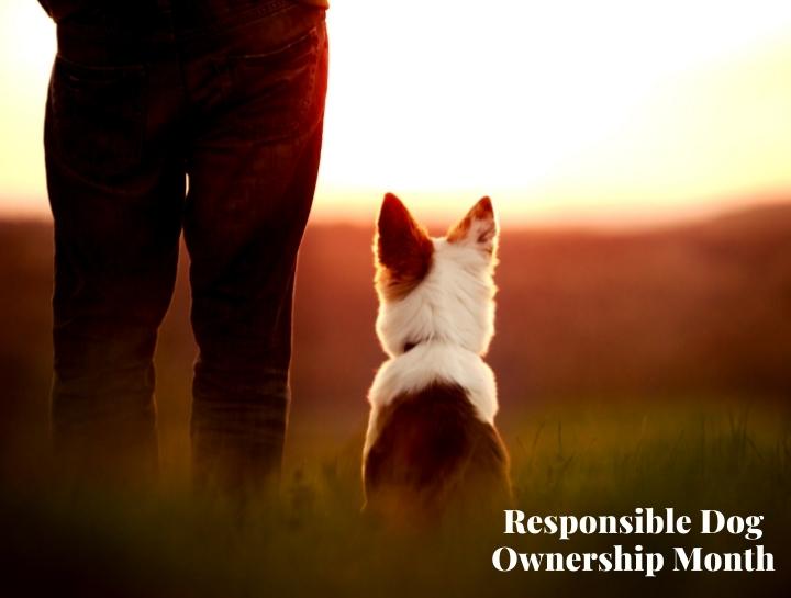 Responsible Dog Ownership Month
