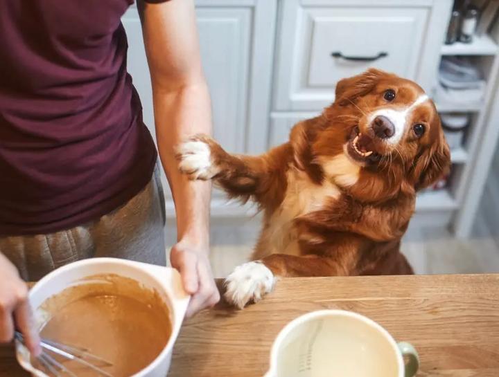 Pi(e) Day Celebration